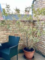 Klauzál utca&nbsp;
82.5 MFt - 43 m2&nbsp;Eladó Lakás Budapest