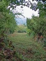 Menedékház utca&nbsp;
45 MFt - 0 m2&nbsp;Eladó Telek Budapest